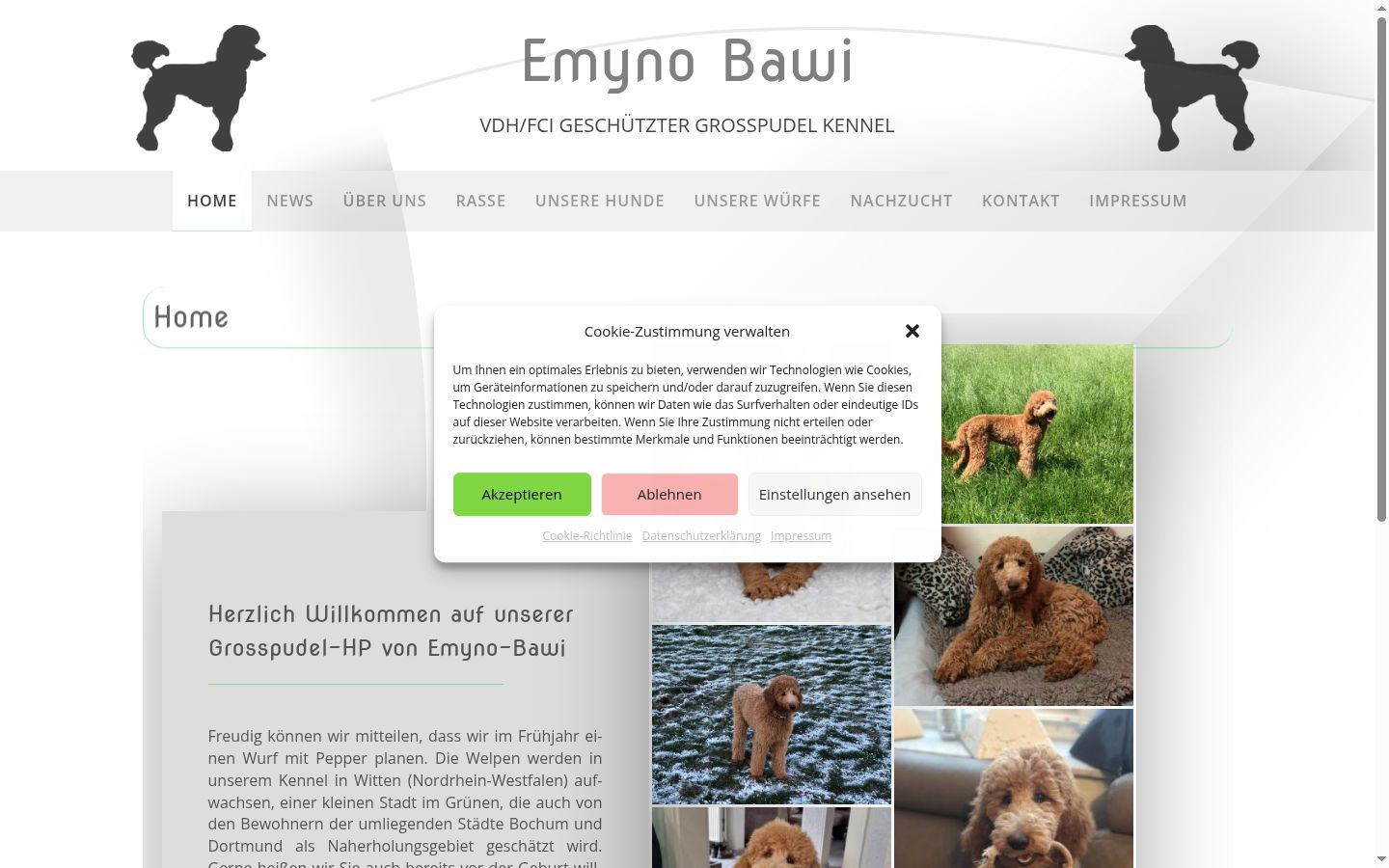 Snímek obrazovky baneru souhlasu zobrazeného před jakoukoli interakcí