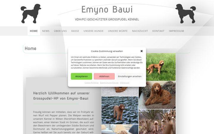 Screenshot of emyno-bawi.de