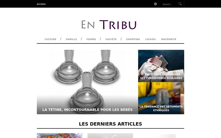 Screenshot of en-tribu.com