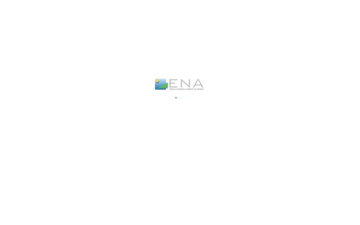 Screenshot van ena.com.pt