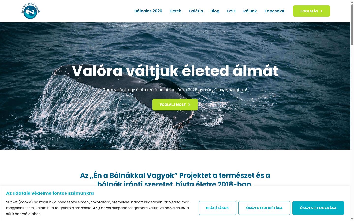 Screenshot del banner di consenso mostrato prima di qualsiasi interazione