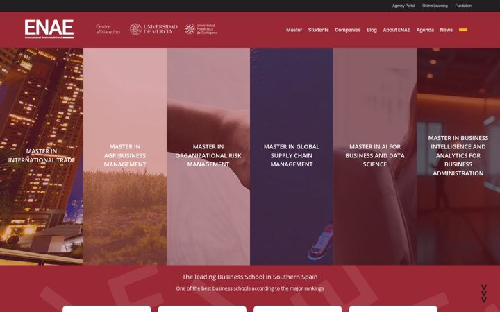 Screenshot of enae.com