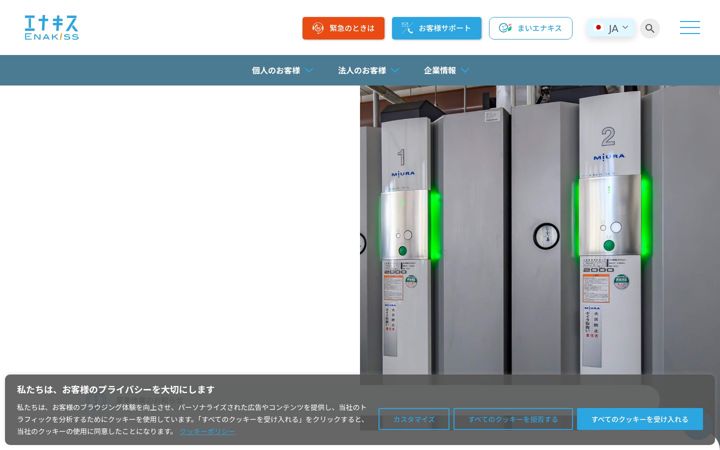 Ekraanipilt saidist enakiss.co.jp