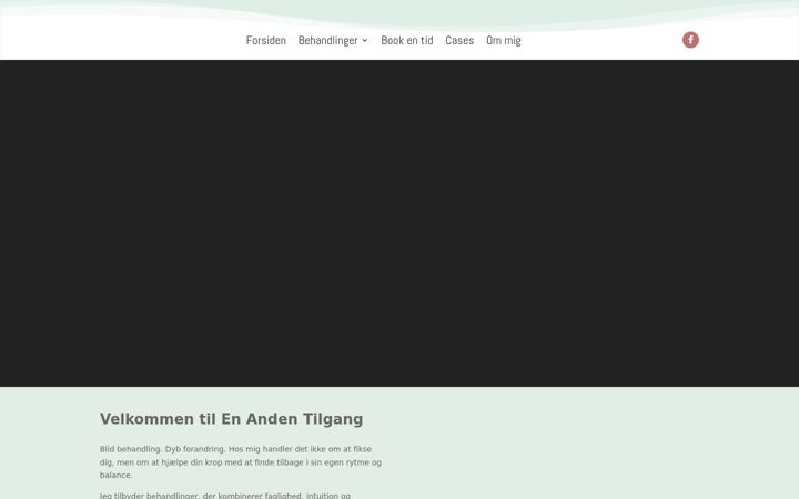 Screenshot stránky enandentilgang.dk