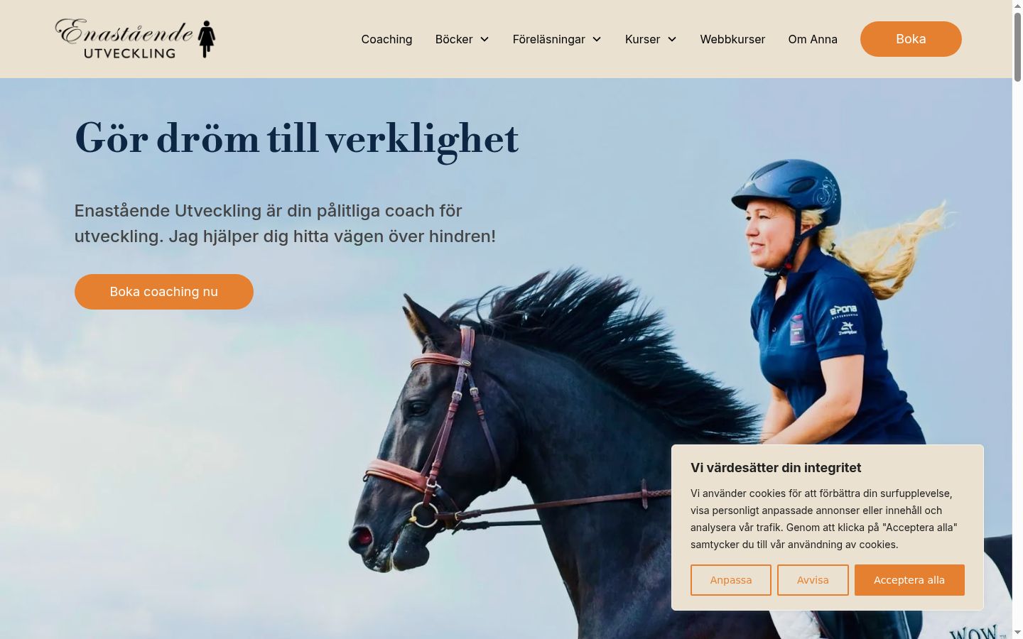 Skærmbillede af samtykkebanneret, som det blev vist før nogen interaktion