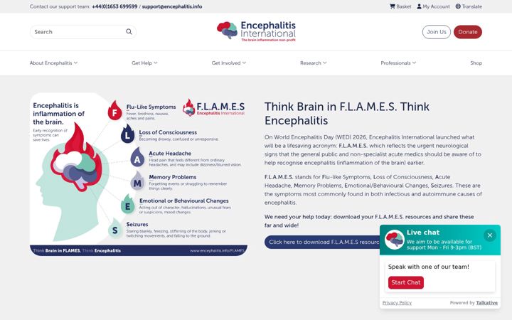Ekrano kopija encephalitis.info