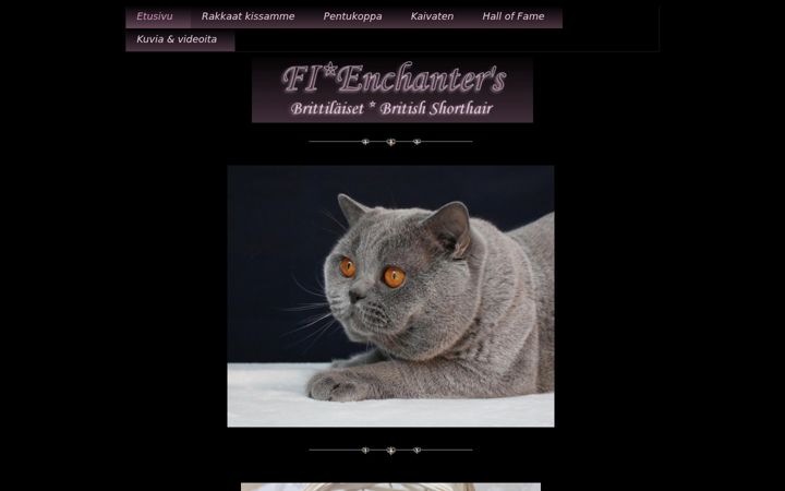Skärmbild av enchanters.fi