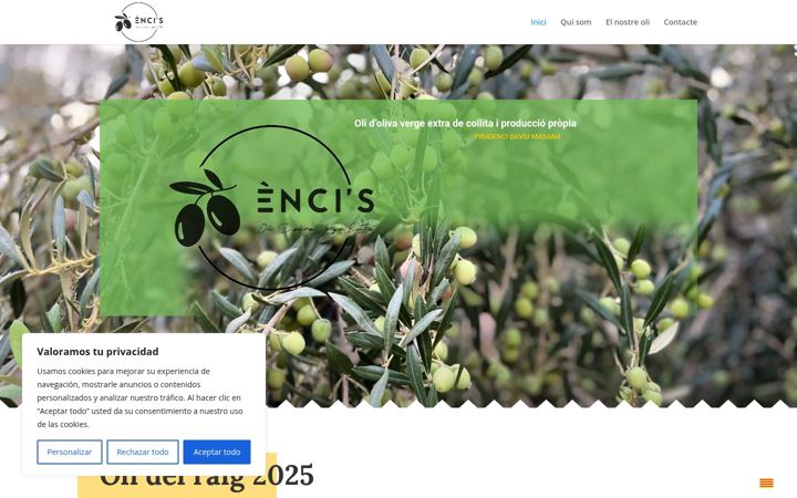 Screenshot of encis.cat