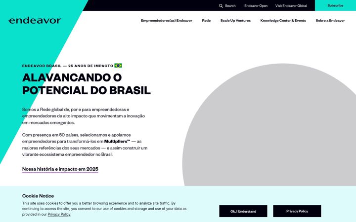 Screenshot of endeavor.org.br