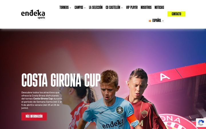 Screenshot of endekasports.com