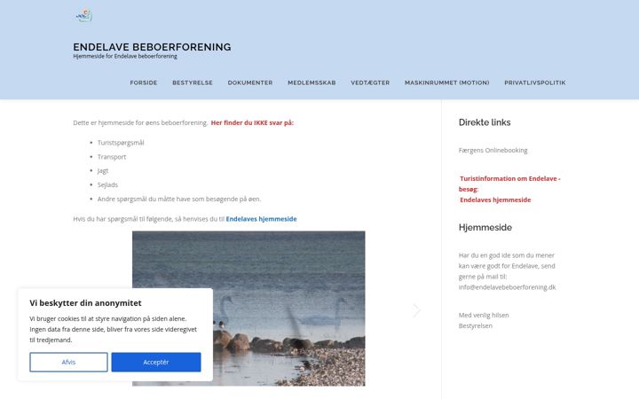 Screenshot stránky endelave-beboerforening.dk