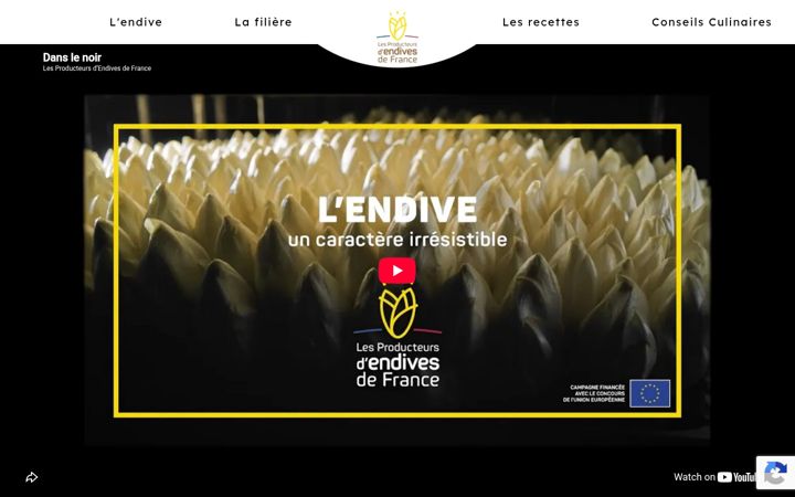Snímek obrazovky endive.fr