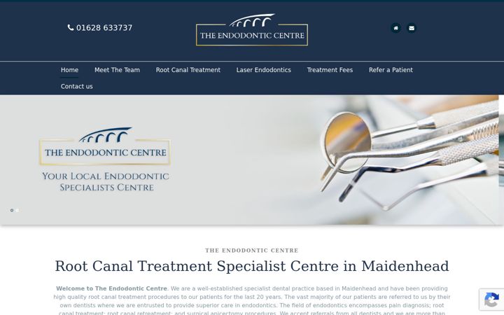 Screenshot ta' endo-centre.co.uk