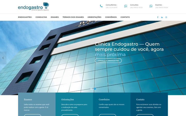 Captura de pantalla de endogastro.com.br