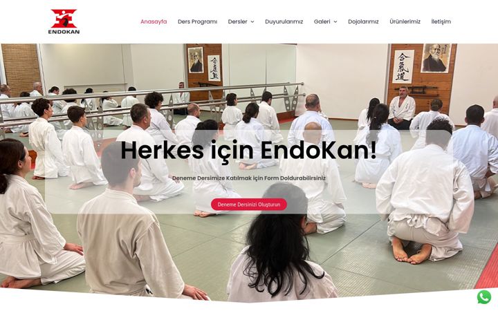 Screenshot stránky endokan.tr