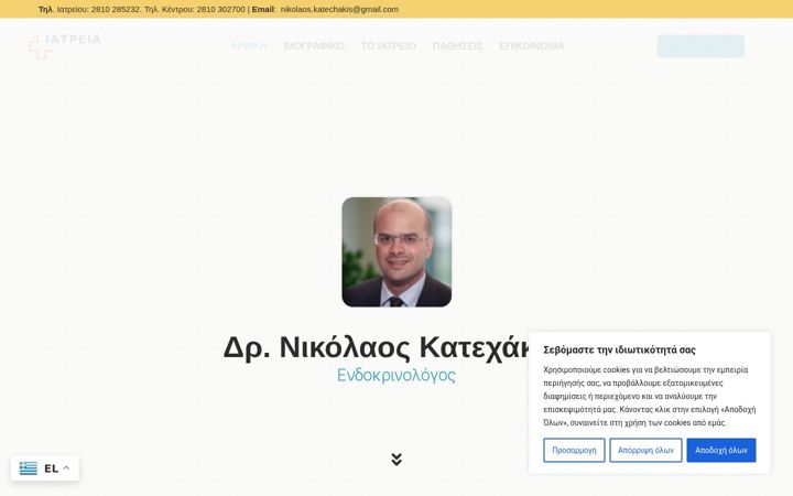 Posnetek zaslona endokatechakis.gr