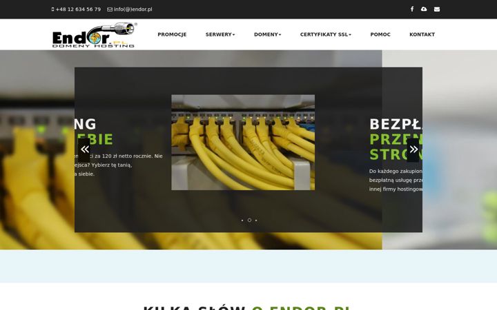 Screenshot of endor.pl
