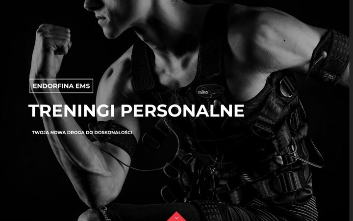 Ekrānuzņēmums no endorfinaems.pl