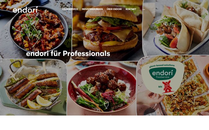 Screenshot of endori-professional.com