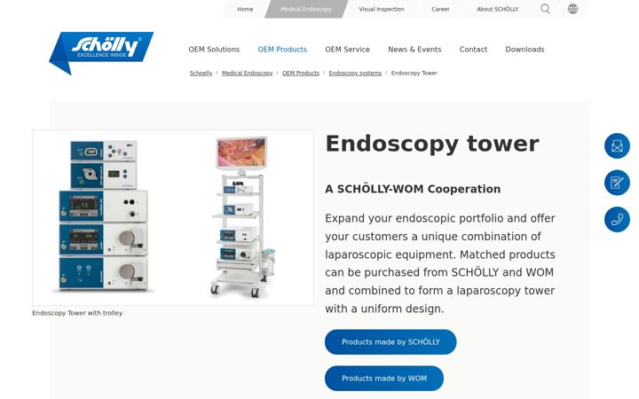 Screenshot of endoscopy-tower.com
