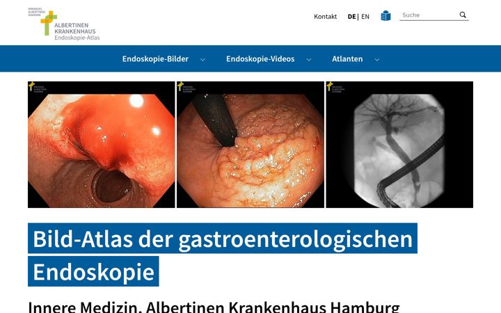 Captura de ecrã de endoskopiebilder.de