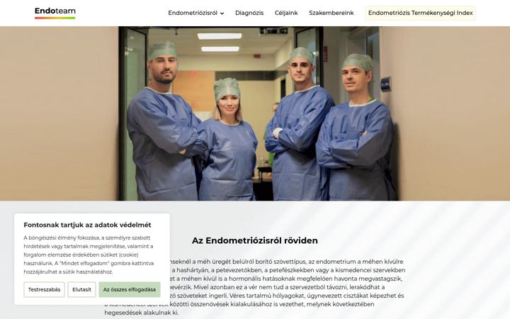 Snímek obrazovky endoteam.hu