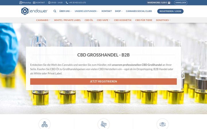 Screenshot of endower.biz