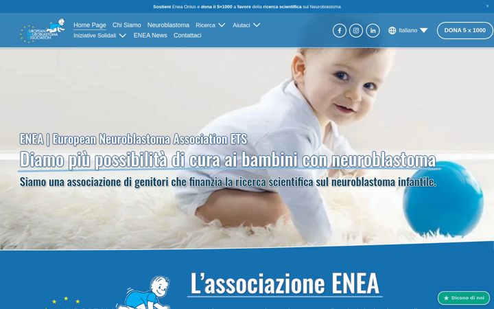 Screenshot of eneassociation.com
