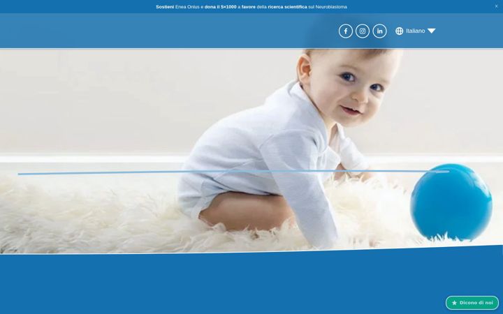 Skærmbillede af eneassociation.it
