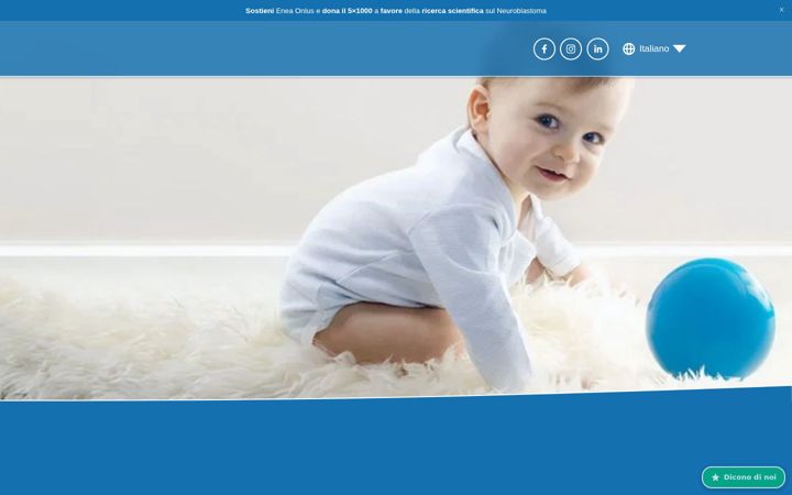 Captura de ecrã de eneassociation.net