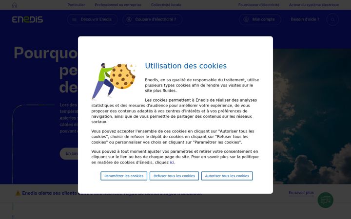 enedis.fr