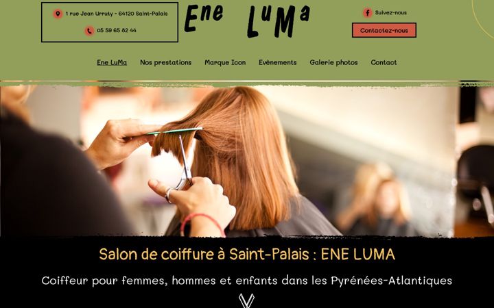 Screenshot of eneluma.fr