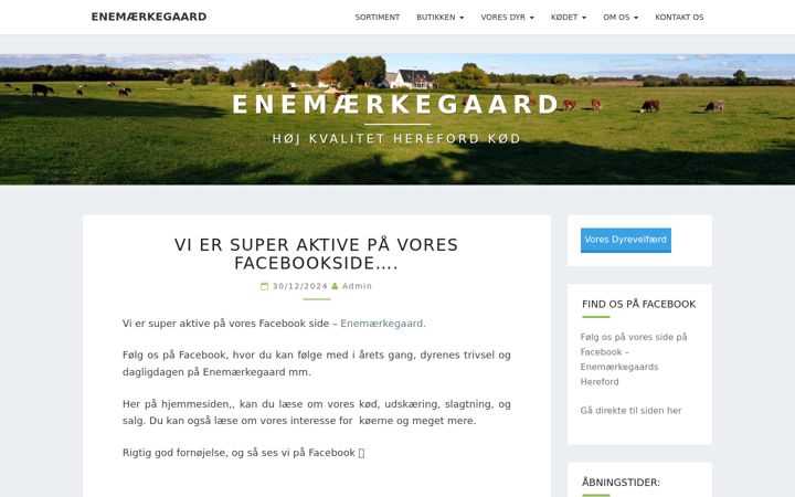 Skärmbild av enemaerkegaard.dk