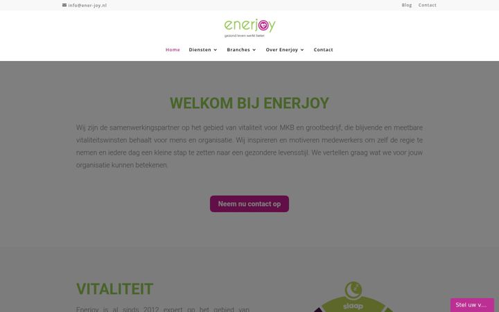 Snímek obrazovky ener-joy.nl