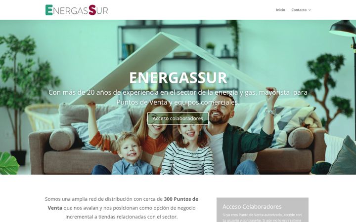 Screenshot of energassur.com