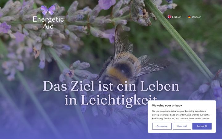 Screenshot of energeticaid.com