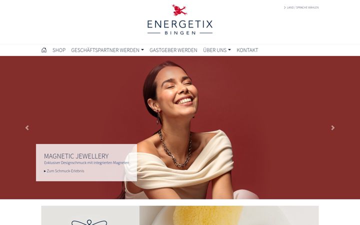 Posnetek zaslona energetix.tv