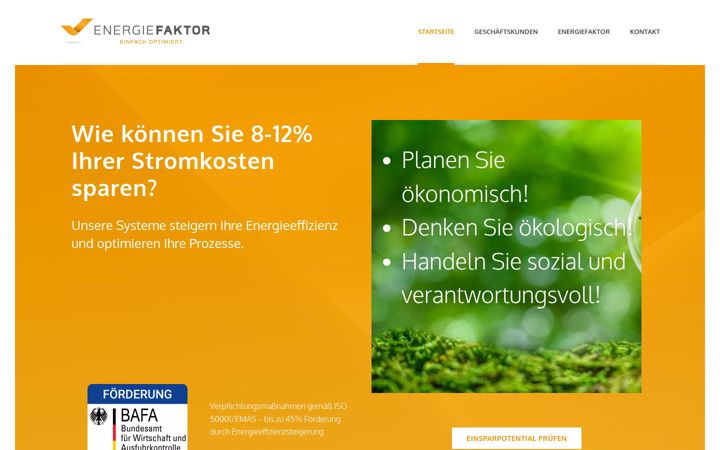 Screenshot ta' energie-faktor.de
