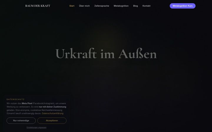 Screenshot von energie-mentor.de