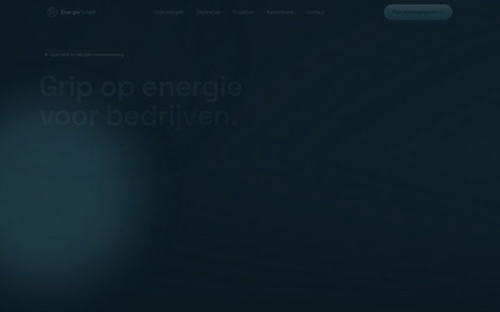 Snímek obrazovky energie-totaal.nl