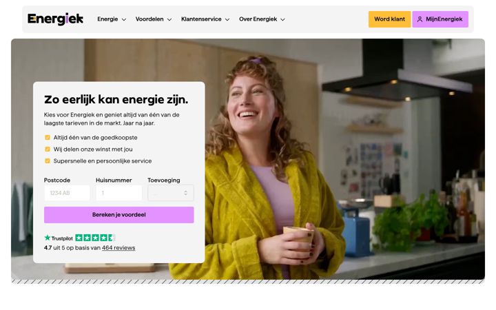 Screenshot του energiek.nl