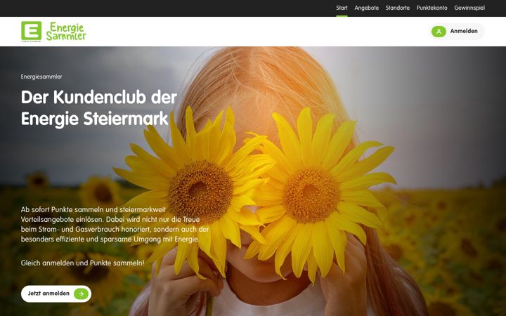 Screenshot of energiesammler.at