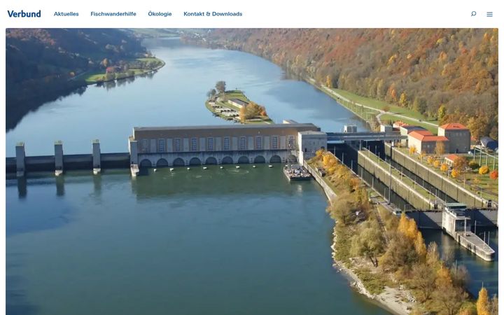 Screenshot of energiespeicher-riedl.de