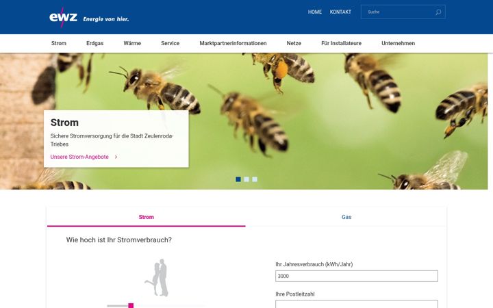 Screenshot of energiewerke-zeulenroda.de