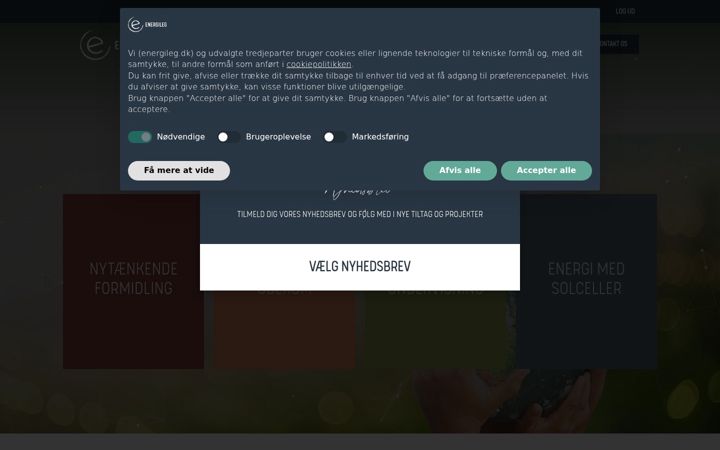 Képernyőkép: energileg.dk