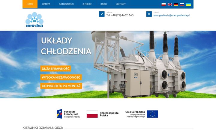 Zrzut ekranu energosilesia.pl