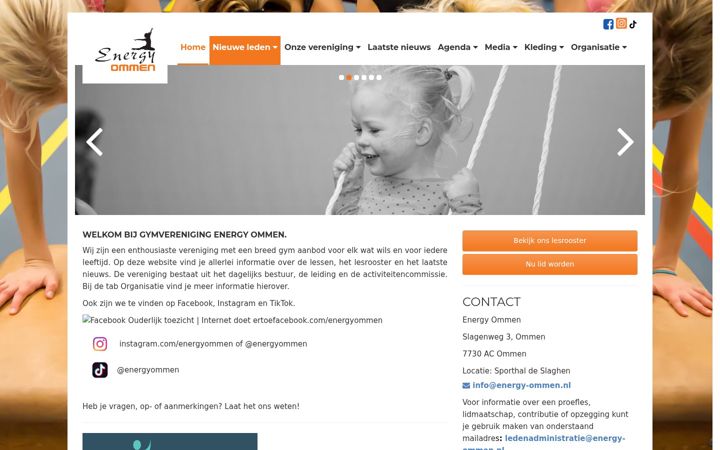 Ekraanipilt saidist energy-ommen.nl