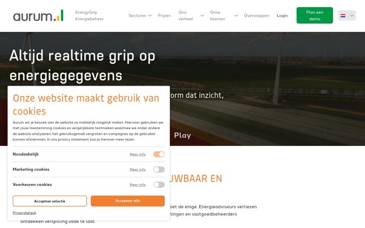 Screenshot of energygrip.com