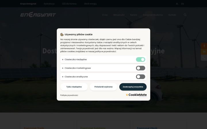 Screenshot ta' energynat.pl