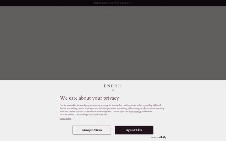 Screenshot of enerjilondon.com